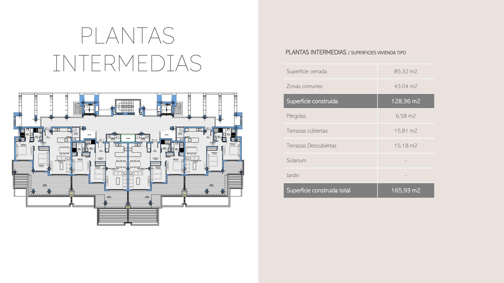 Plantas intermedias